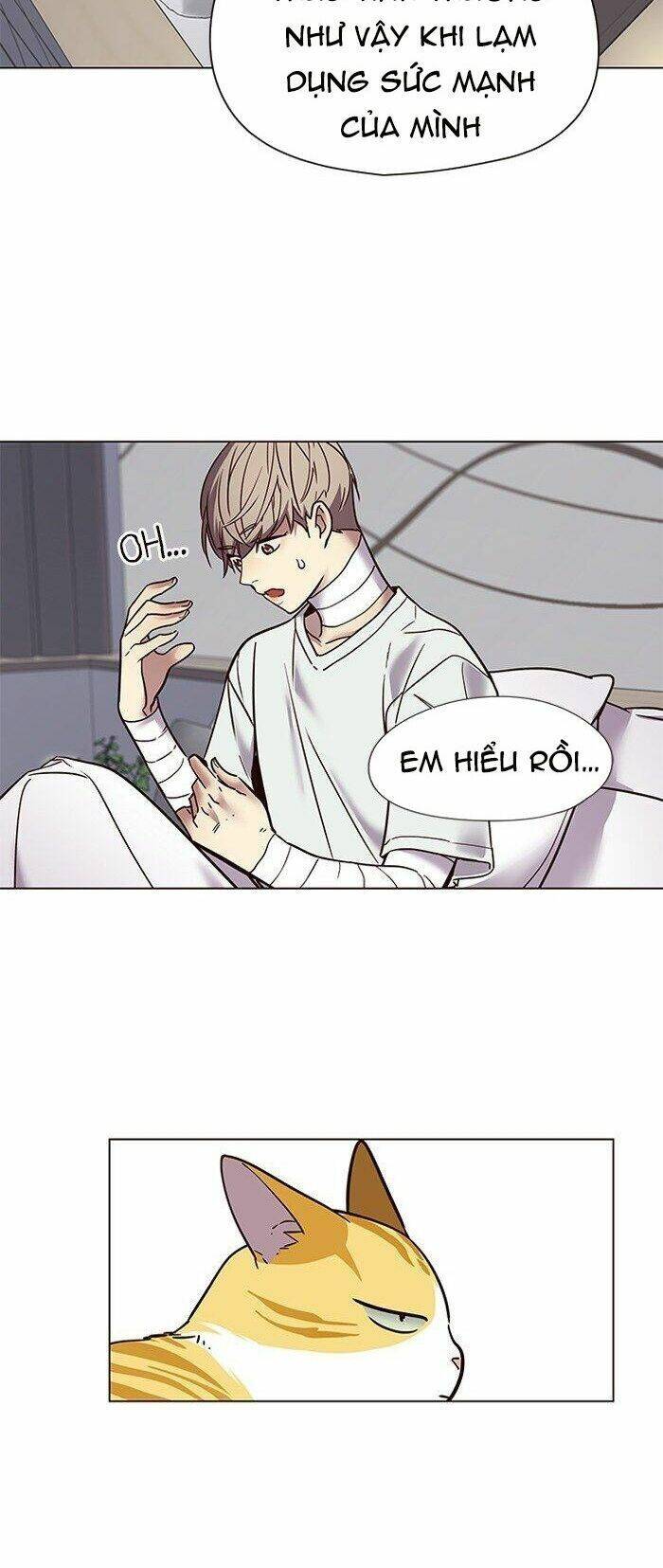 Hoá Thân Thành Mèo Chap 88 - Next Chap 89