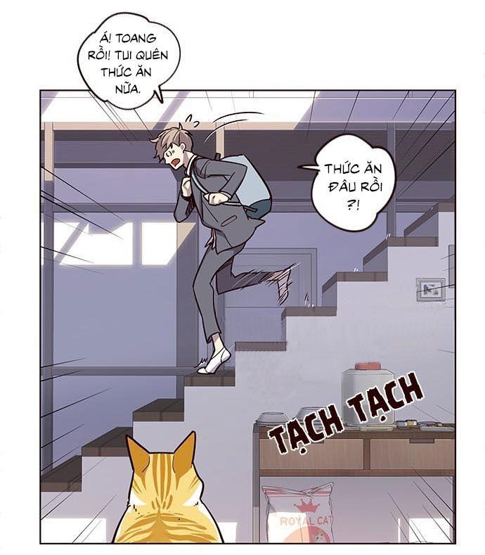 Hoá Thân Thành Mèo Chap 9 - Next Chap 10
