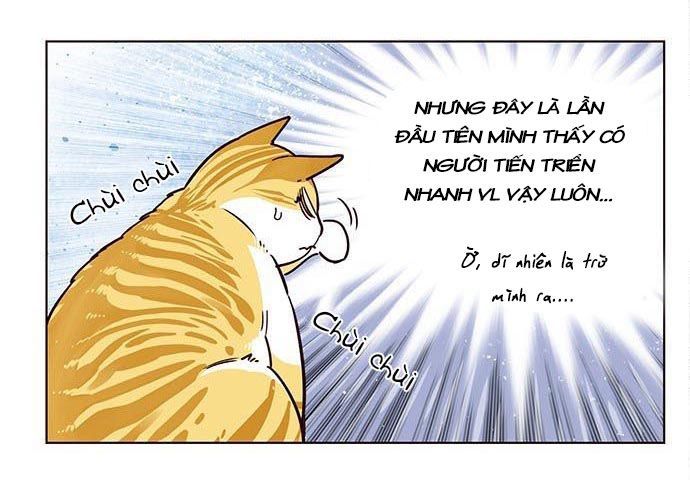 Hoá Thân Thành Mèo Chap 9 - Next Chap 10