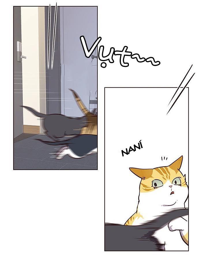 Hoá Thân Thành Mèo Chap 9 - Next Chap 10