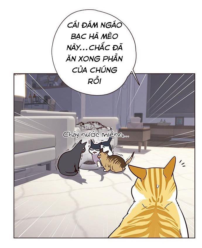 Hoá Thân Thành Mèo Chap 9 - Next Chap 10