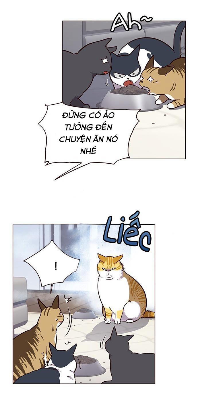 Hoá Thân Thành Mèo Chap 9 - Next Chap 10
