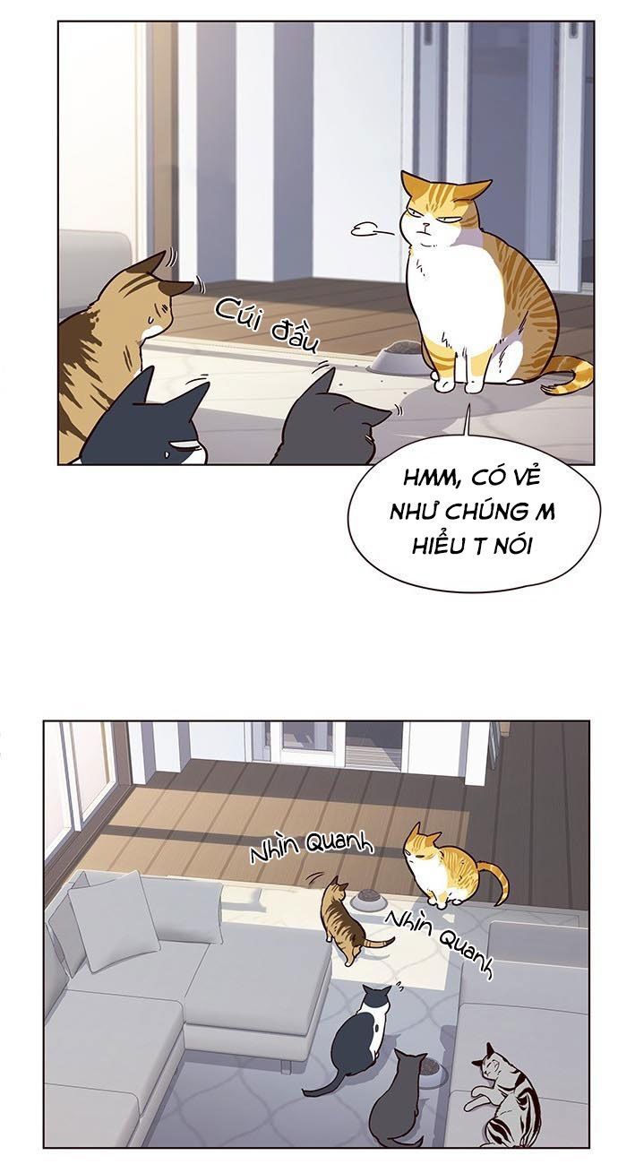 Hoá Thân Thành Mèo Chap 9 - Next Chap 10