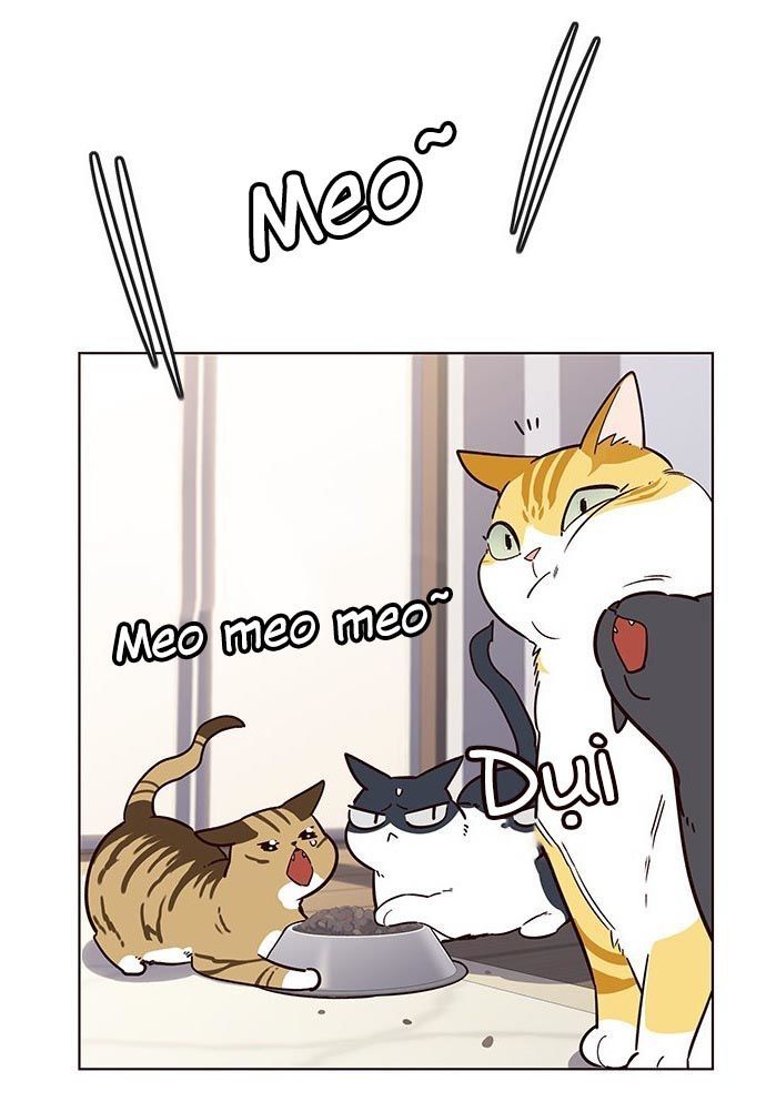 Hoá Thân Thành Mèo Chap 9 - Next Chap 10