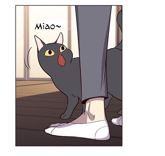 Hoá Thân Thành Mèo Chap 9 - Next Chap 10