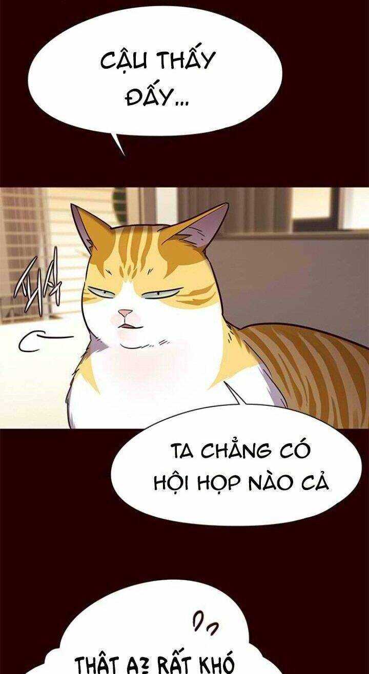 Hoá Thân Thành Mèo Chap 96 - Next Chap 97
