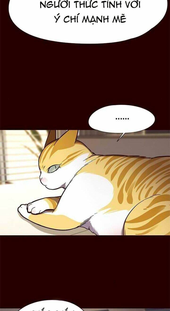 Hoá Thân Thành Mèo Chap 96 - Next Chap 97
