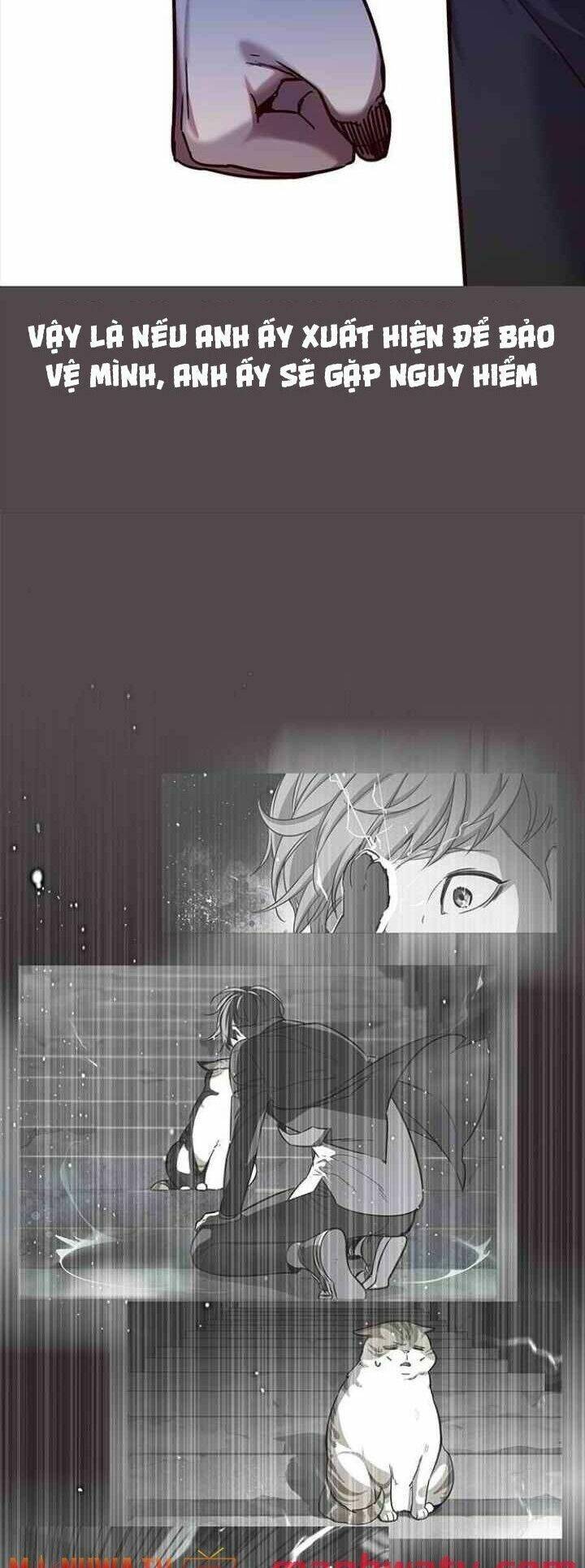 Hoá Thân Thành Mèo Chap 99 - Next Chap 100