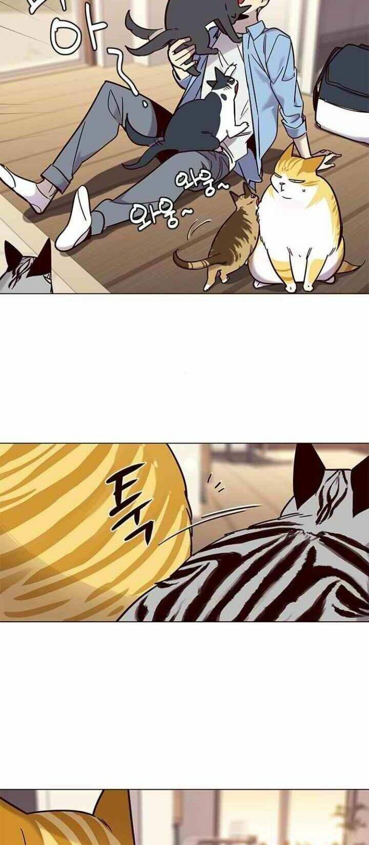 Hoá Thân Thành Mèo Chap 99 - Next Chap 100