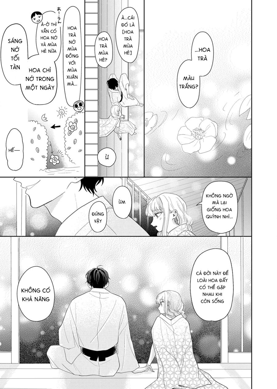 Hoa Trà Đợi Xuân Nở Yêu Thương Chap 12 - Next Chap 13