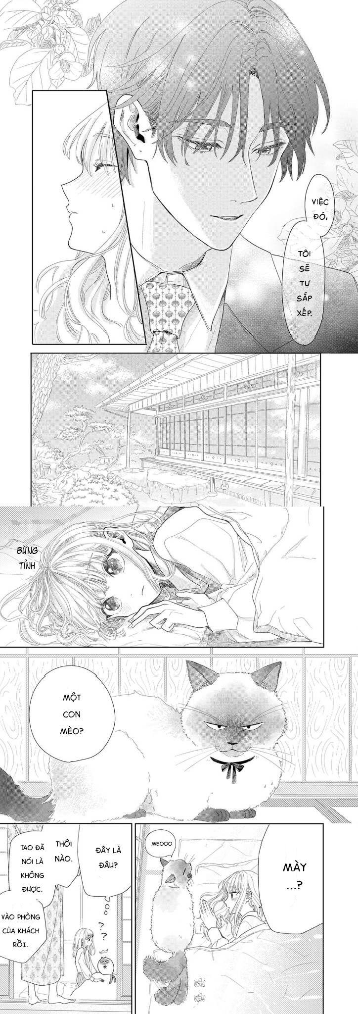 Hoa Trà Đợi Xuân Nở Yêu Thương Chap 2 - Next Chap 3