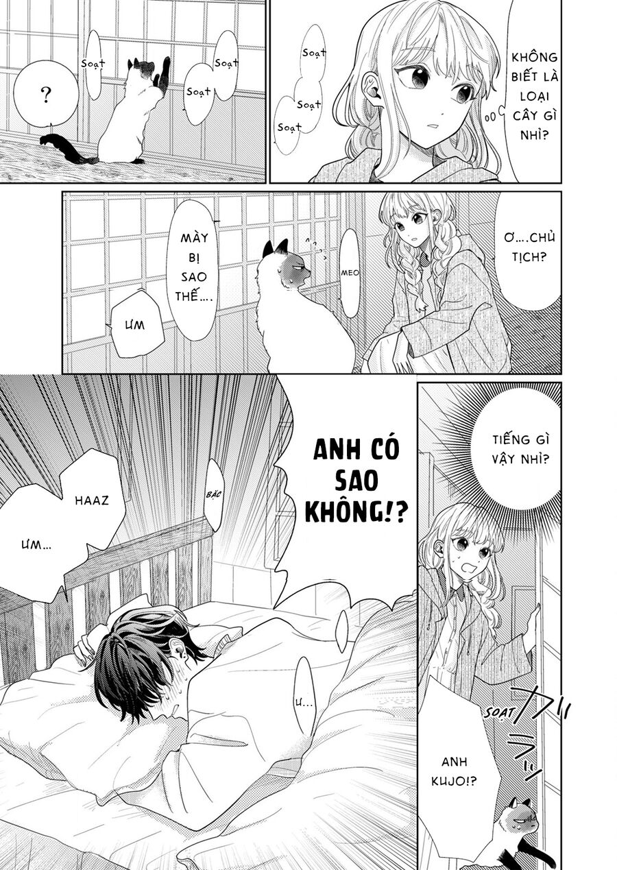 Hoa Trà Đợi Xuân Nở Yêu Thương Chap 4 - Next Chap 5