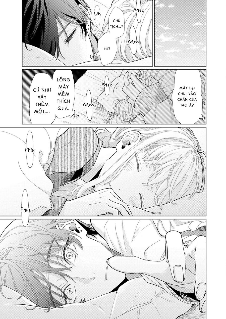 Hoa Trà Đợi Xuân Nở Yêu Thương Chap 4 - Next Chap 5