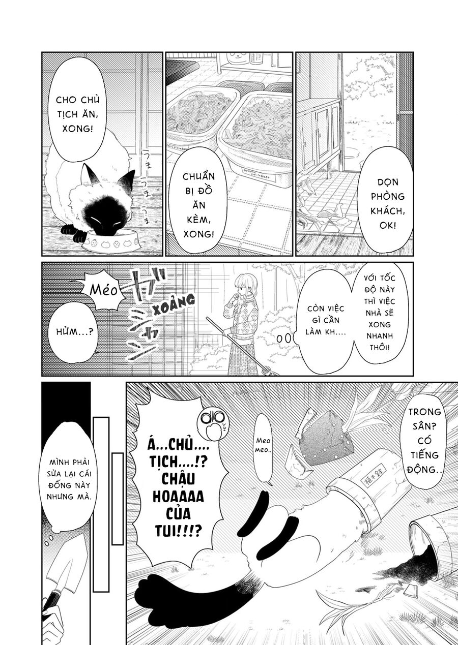 Hoa Trà Đợi Xuân Nở Yêu Thương Chap 6 - Next Chap 7