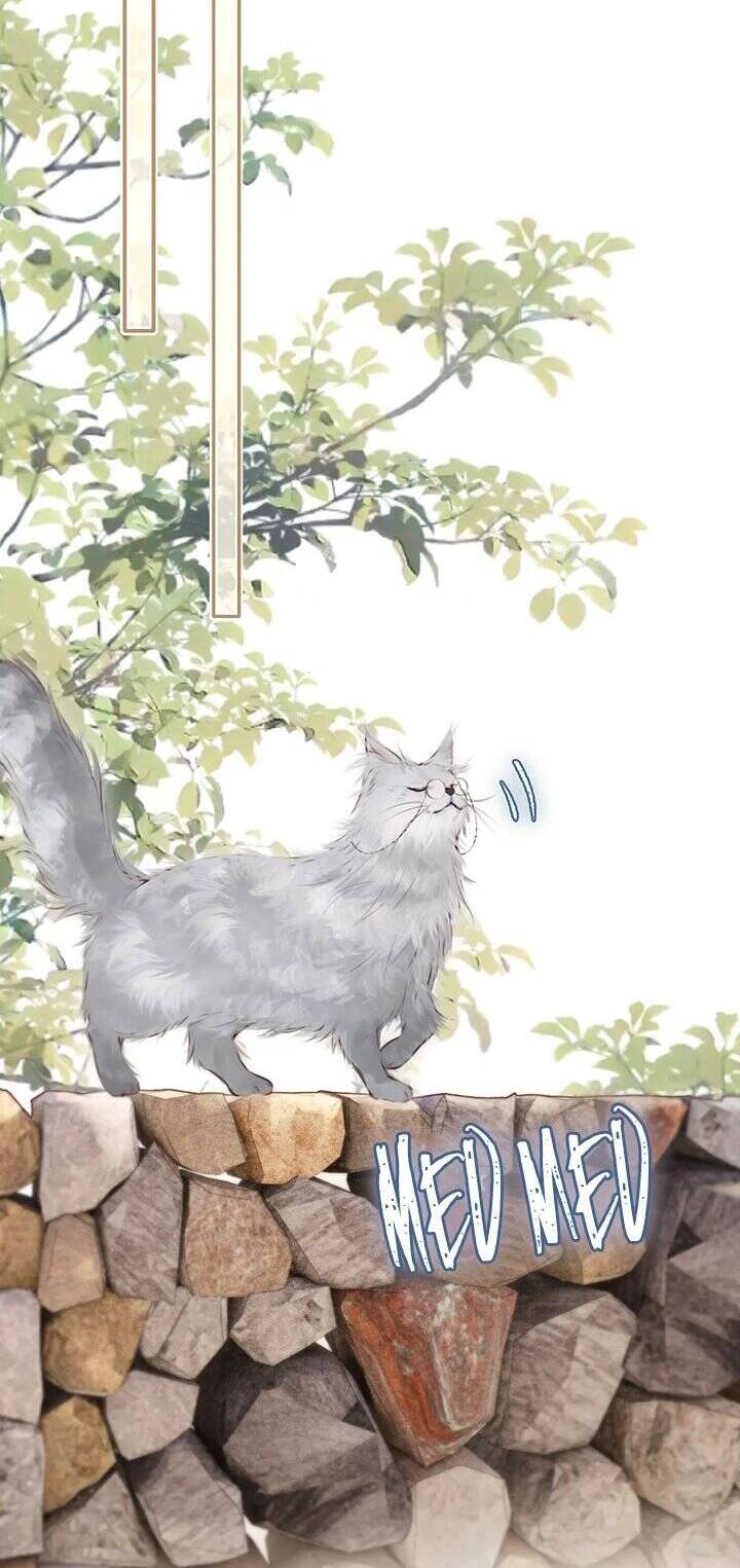 Hoặc Tinh Chi Mục Chap 15 - Next Chap 16