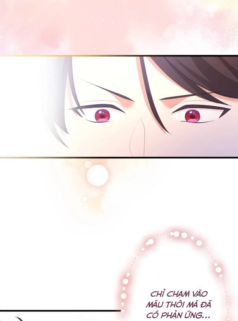 Hoàng Đế Độc Ác Và Kế Hoạch Gia Đình Được Yêu Chiều Chap 2 - Next Chap 3