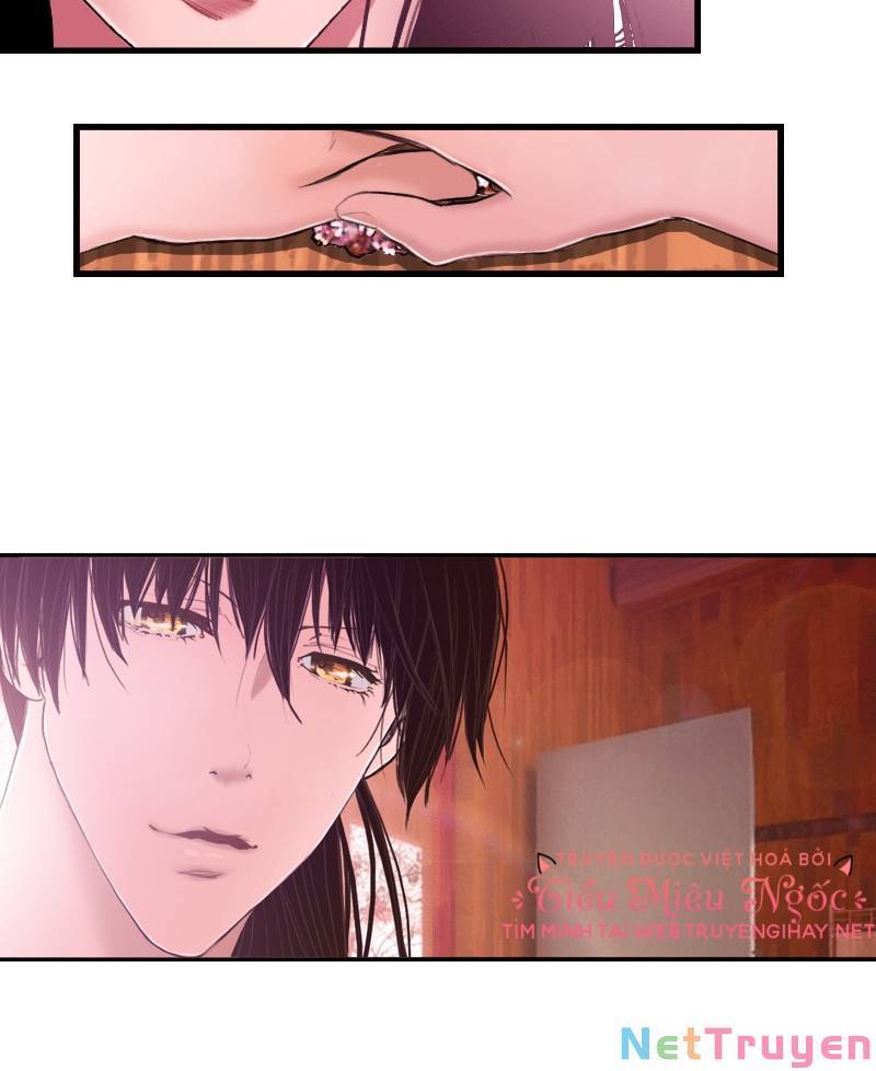 Hoàng Đế Máu Lạnh Của Tôi Chap 11 - Next Chap 12