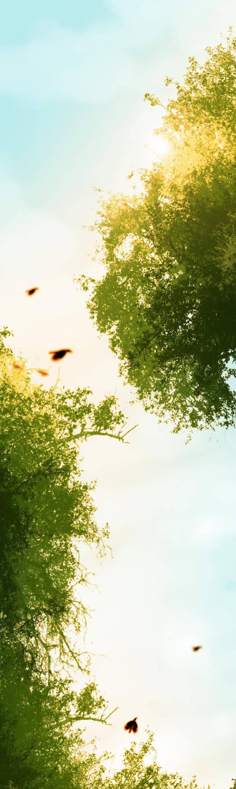 Hoàng Đế Máu Lạnh Của Tôi Chap 22 - Next Chap 23