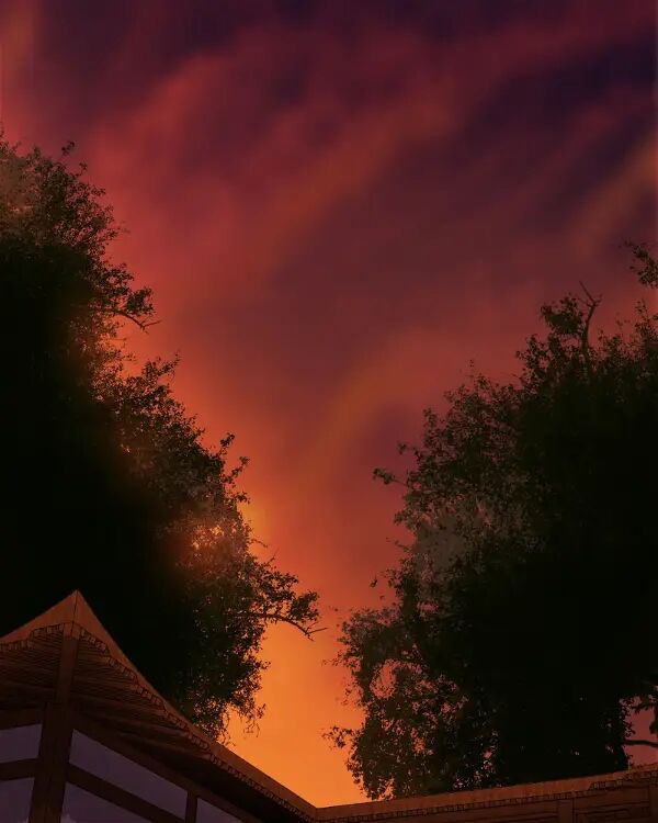 Hoàng Đế Máu Lạnh Của Tôi Chap 62 - Next Chap 63
