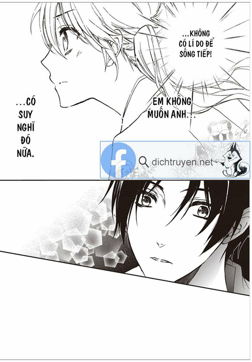 Hoàng Tử Vệ Thần Nhà Momochi Chap 35 - Next Chap 36