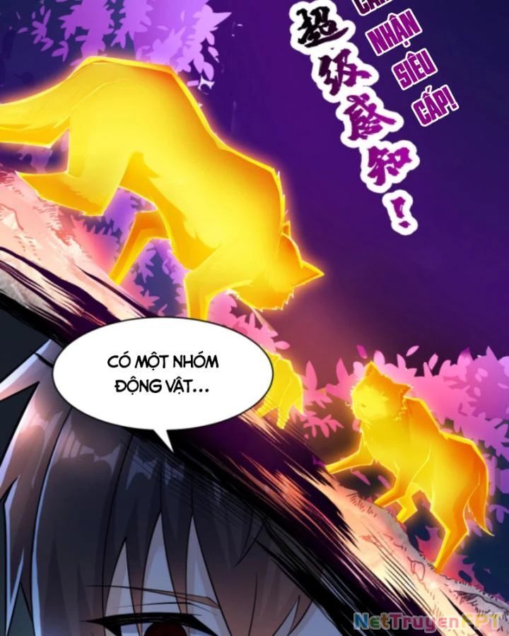Học Cùng Em Gái, Không Cẩn Thận Trở Thành Vô Địch Chap 26 - Next Chap 27