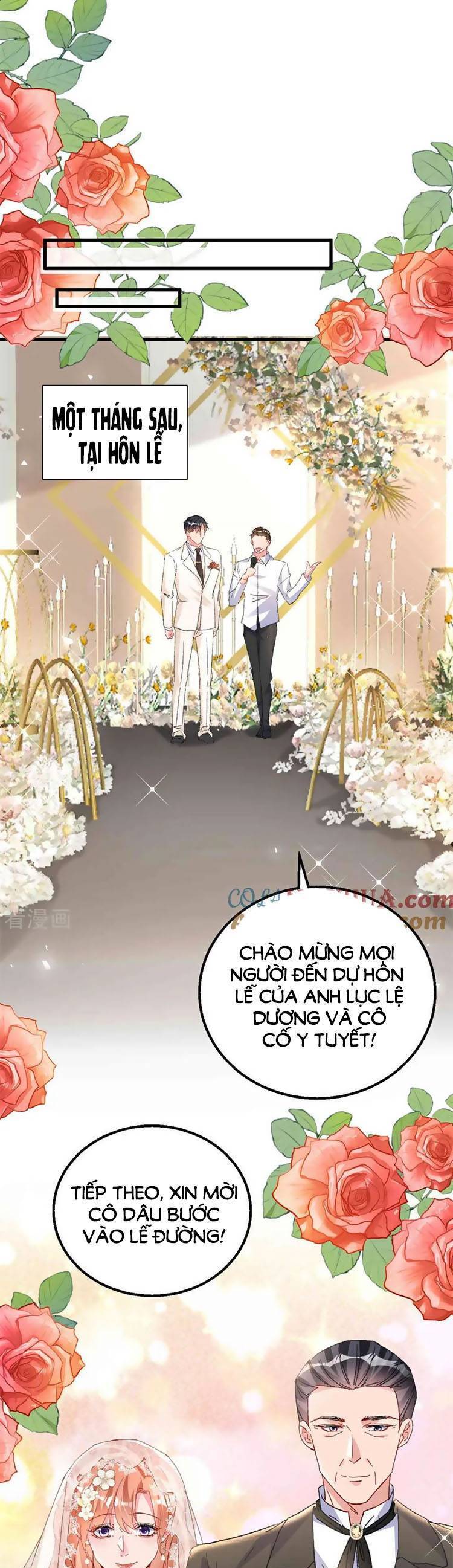 Hôm Nay Từ Chối Lục Tiên Sinh Chưa? Chap 205 - Next Chap 206