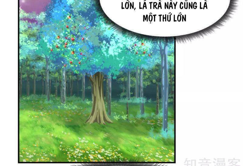 Hỗn Độn Đan Thần Chap 156 - Next Chap 157