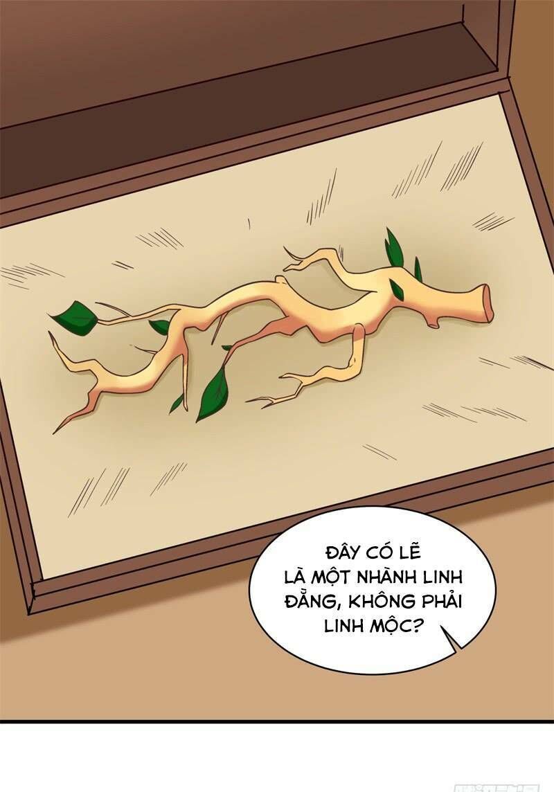 Hỗn Độn Đan Thần Chap 21 - Next Chap 22