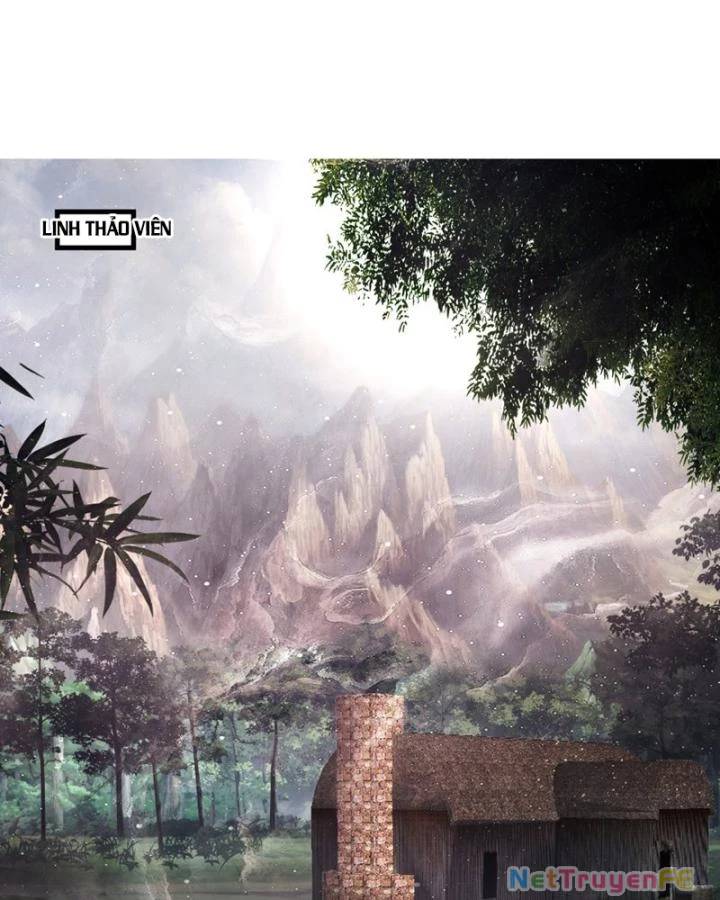 Hỗn Độn Đan Thần Chap 408 - Next Chap 409