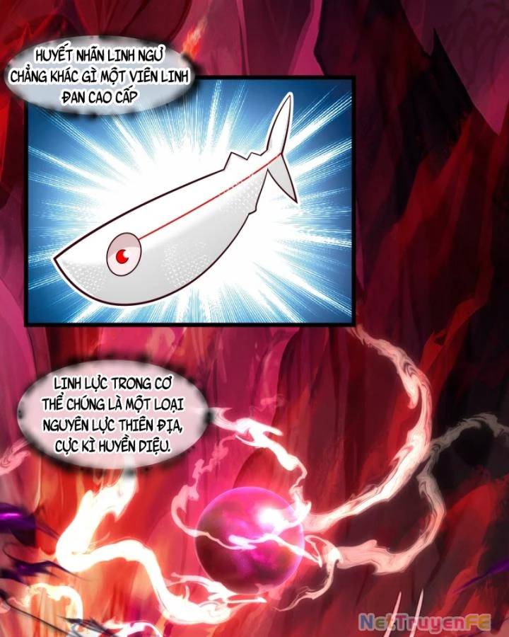 Hỗn Độn Đan Thần Chap 447 - Next Chap 448