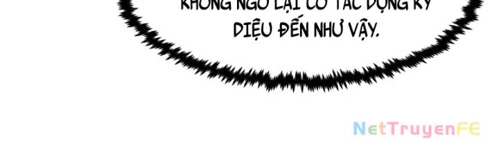 Hỗn Độn Đan Thần Chap 493 - Next Chap 494