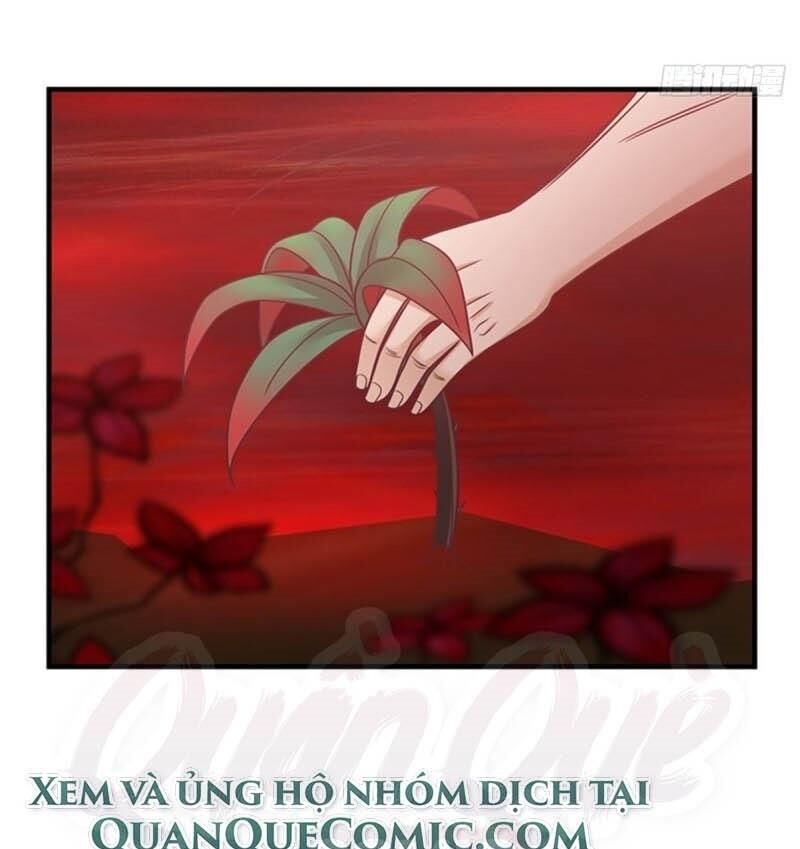 Hỗn Độn Đan Thần Chap 55 - Next Chap 56