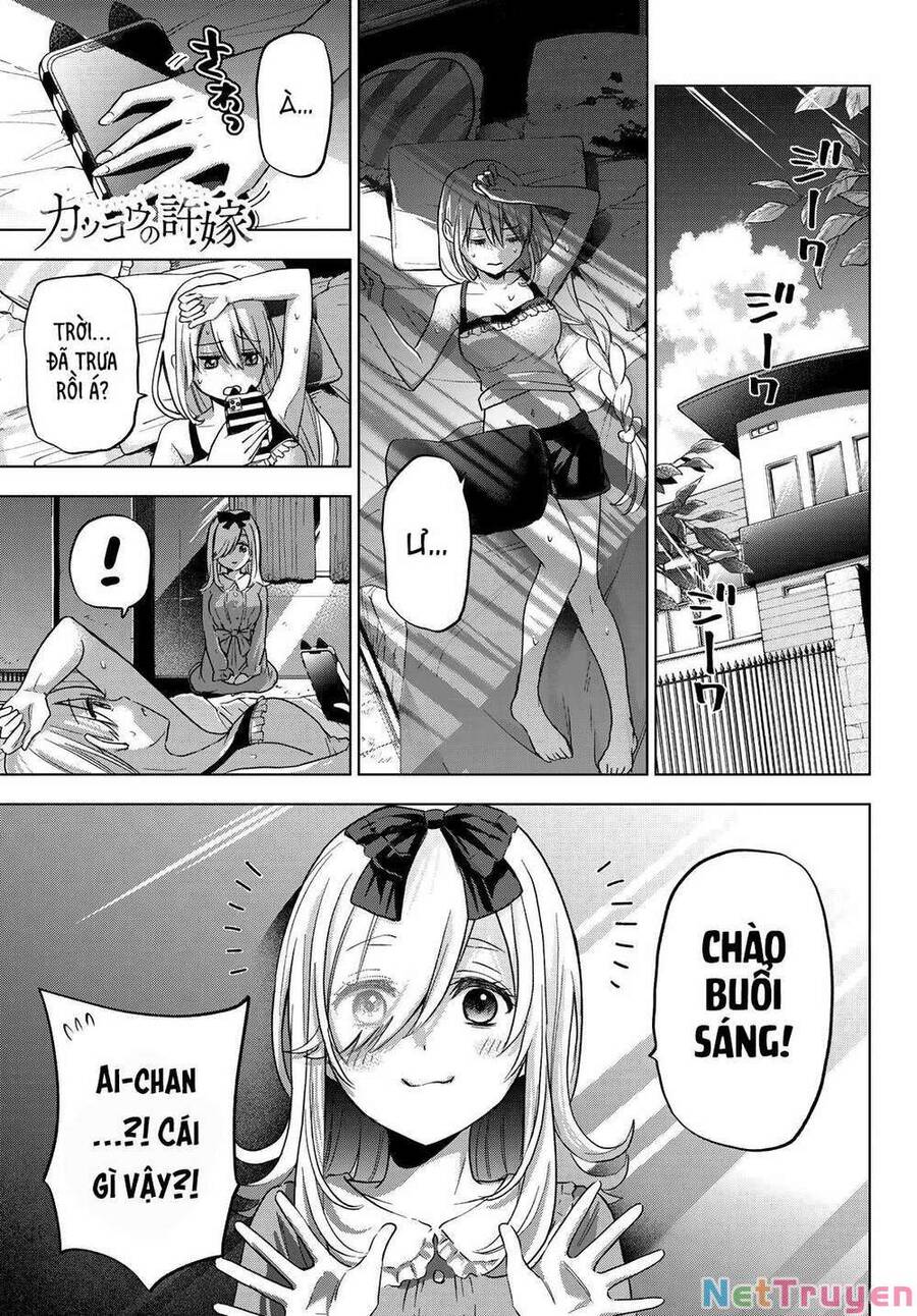 Hôn Thê Cúc Cu Chap 72 - Next Chap 73