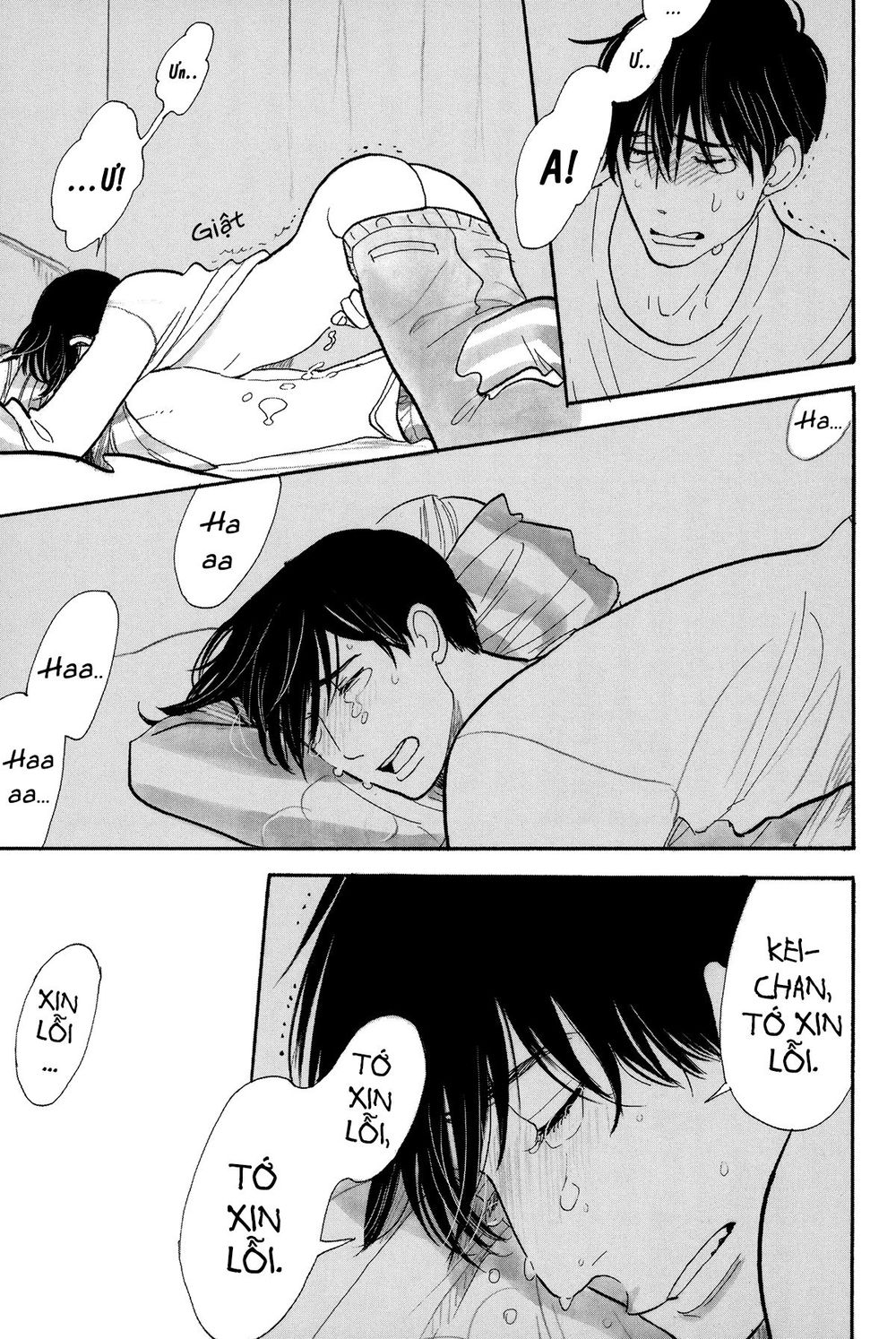Itoshi No Nekokke - Đường Dài Về Nhà Chap 4 - Next Chap 5