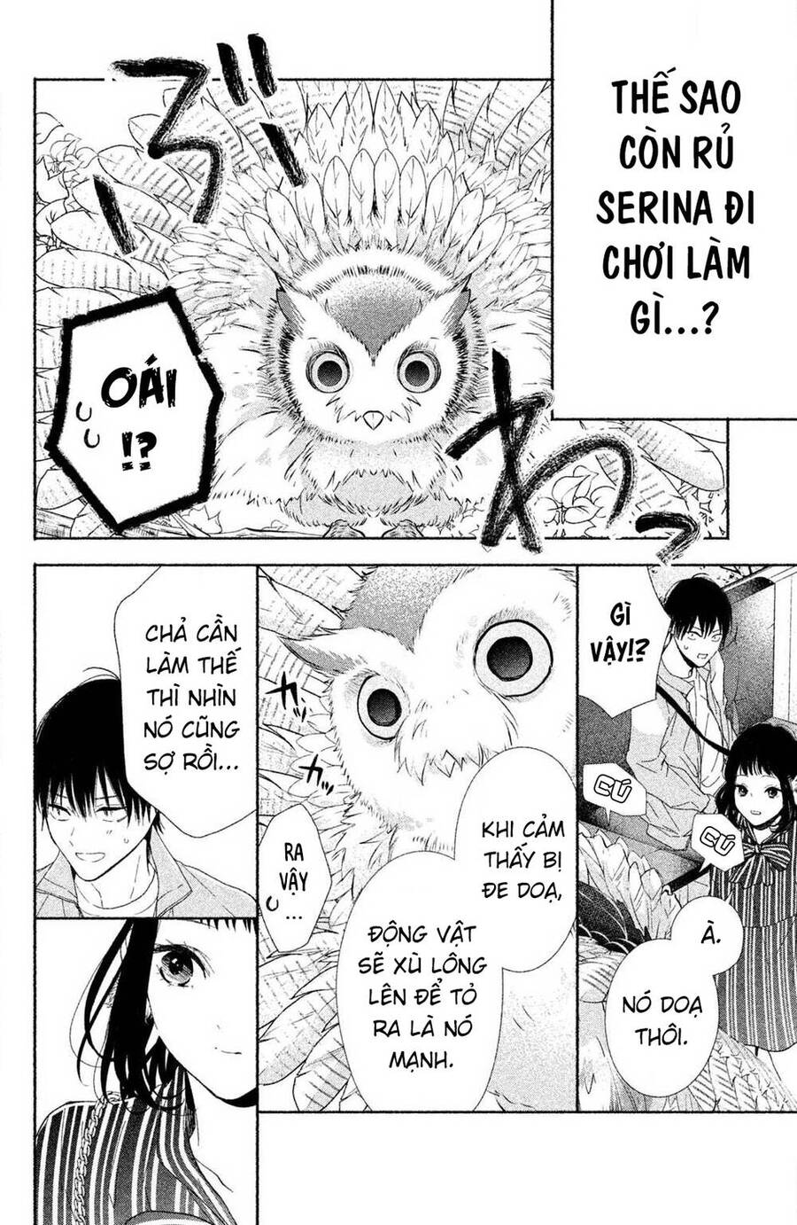 Kamiki Kyoudai Okotowari Little Brother Chap 1 - Next Chap 2