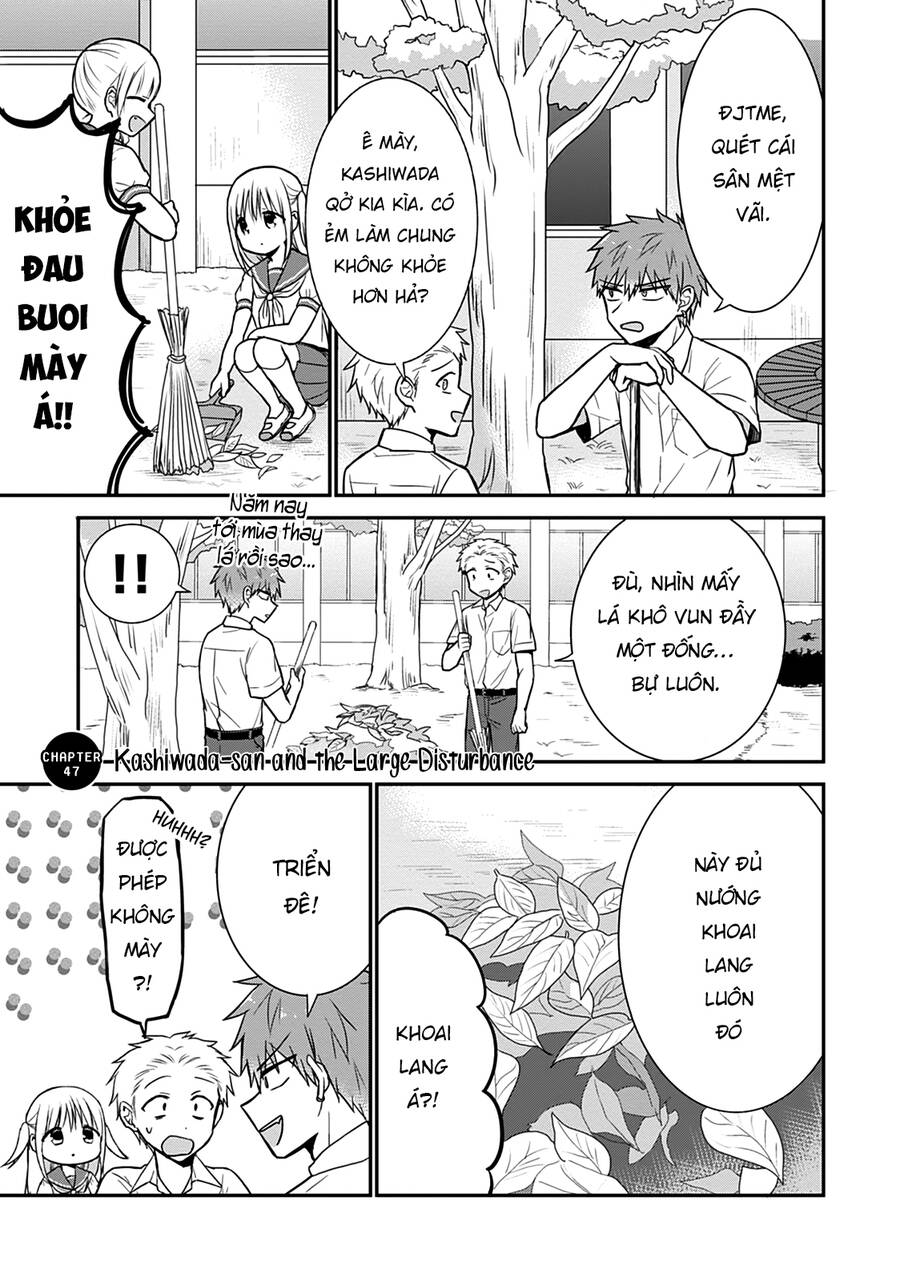 Kao Ni Denai Kashiwada-San To Kao Ni Deru Oota-Kun Chap 47 - Next Chap 48