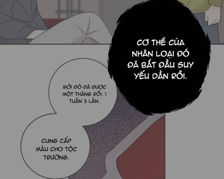 Kẻ Cắp Mặt Trăng Chap 34 - Next Chap 35