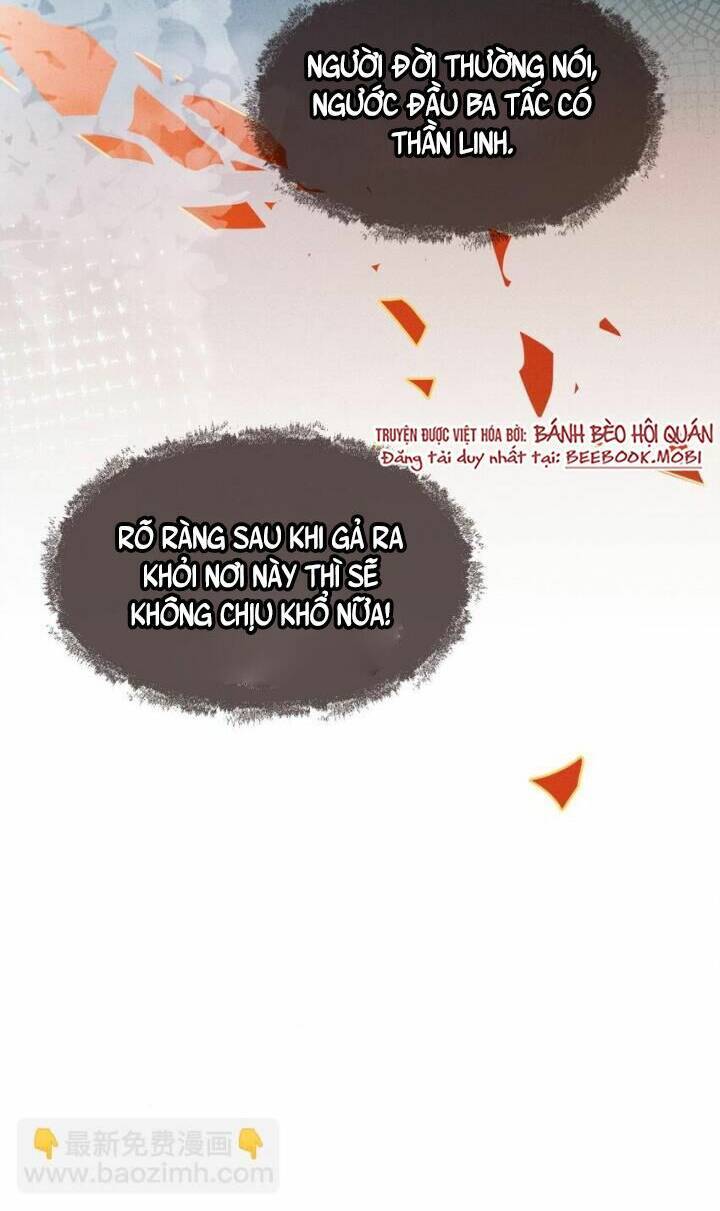 Kế Hoạch Nuôi Dưỡng Bệnh Kiều Vương Gia Chap 1 - Next Chap 2