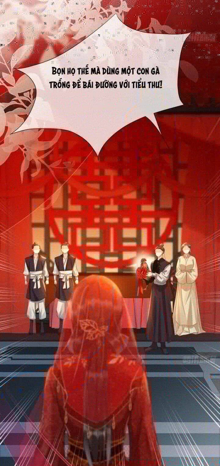 Kế Hoạch Nuôi Dưỡng Bệnh Kiều Vương Gia Chap 1 - Next Chap 2