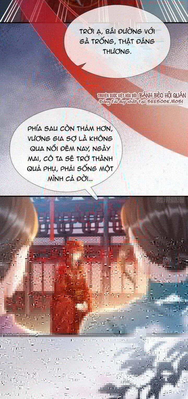 Kế Hoạch Nuôi Dưỡng Bệnh Kiều Vương Gia Chap 1 - Next Chap 2