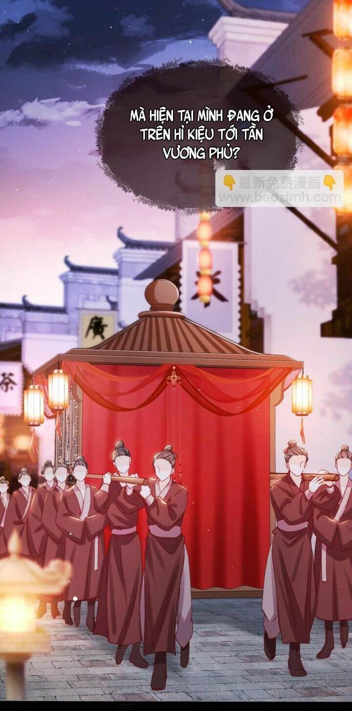 Kế Hoạch Nuôi Dưỡng Bệnh Kiều Vương Gia Chap 1 - Next Chap 2
