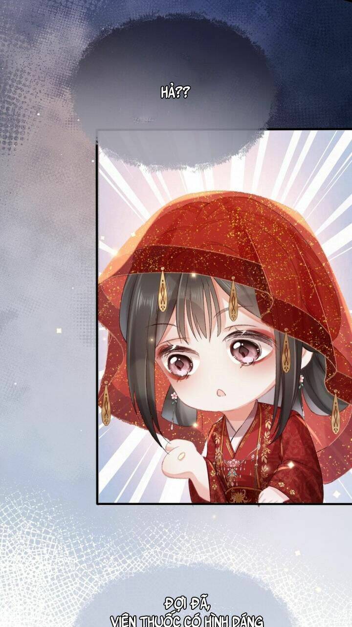 Kế Hoạch Nuôi Dưỡng Bệnh Kiều Vương Gia Chap 1 - Next Chap 2