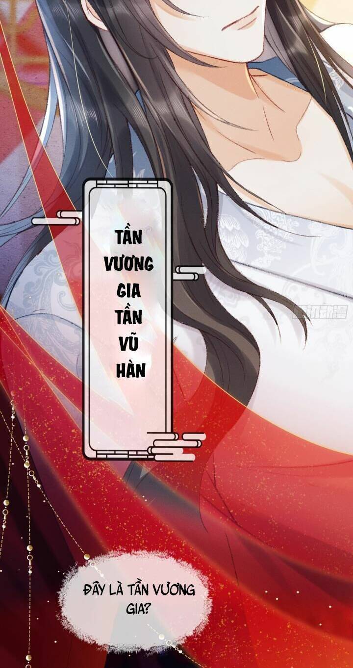 Kế Hoạch Nuôi Dưỡng Bệnh Kiều Vương Gia Chap 2 - Next Chap 3