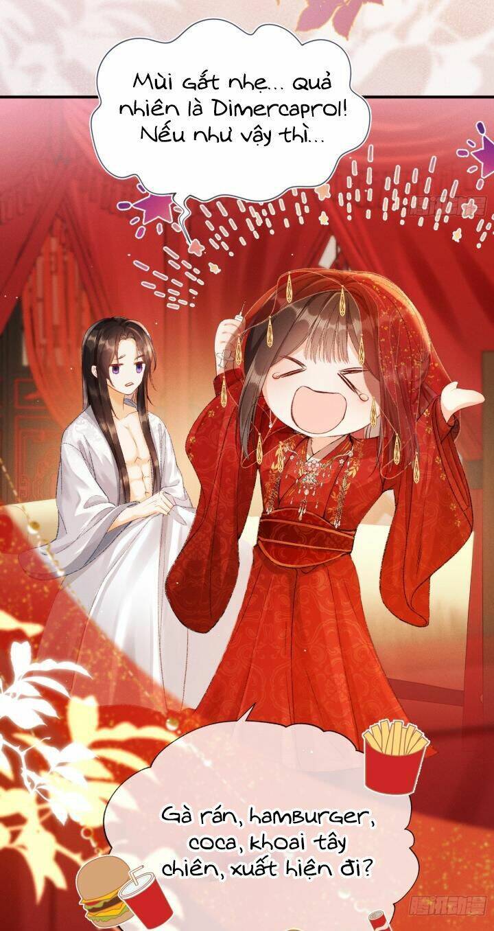 Kế Hoạch Nuôi Dưỡng Bệnh Kiều Vương Gia Chap 3 - Next Chap 4