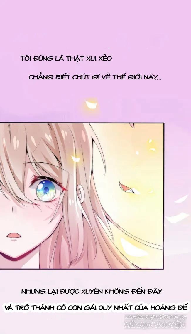 Kế Hoạch Sủng Ái Của Tiểu Công Chúa Chap 1 - Next Chap 2