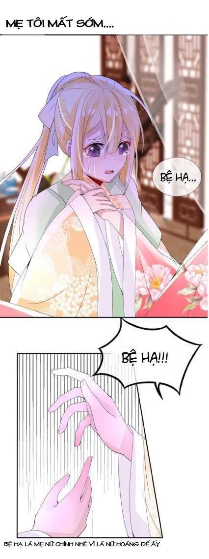 Kế Hoạch Sủng Ái Của Tiểu Công Chúa Chap 1 - Next Chap 2