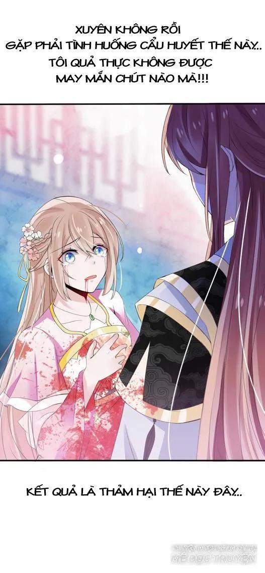 Kế Hoạch Sủng Ái Của Tiểu Công Chúa Chap 1 - Next Chap 2