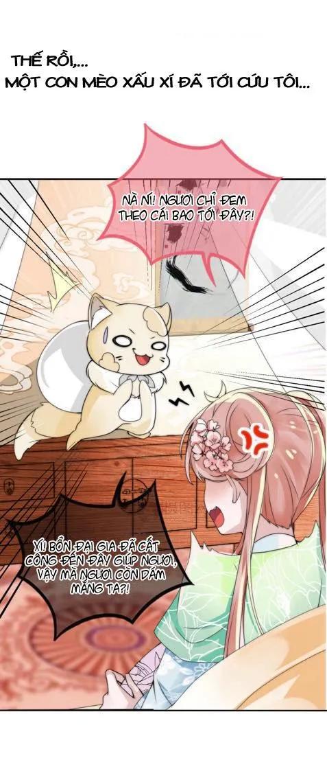 Kế Hoạch Sủng Ái Của Tiểu Công Chúa Chap 1 - Next Chap 2