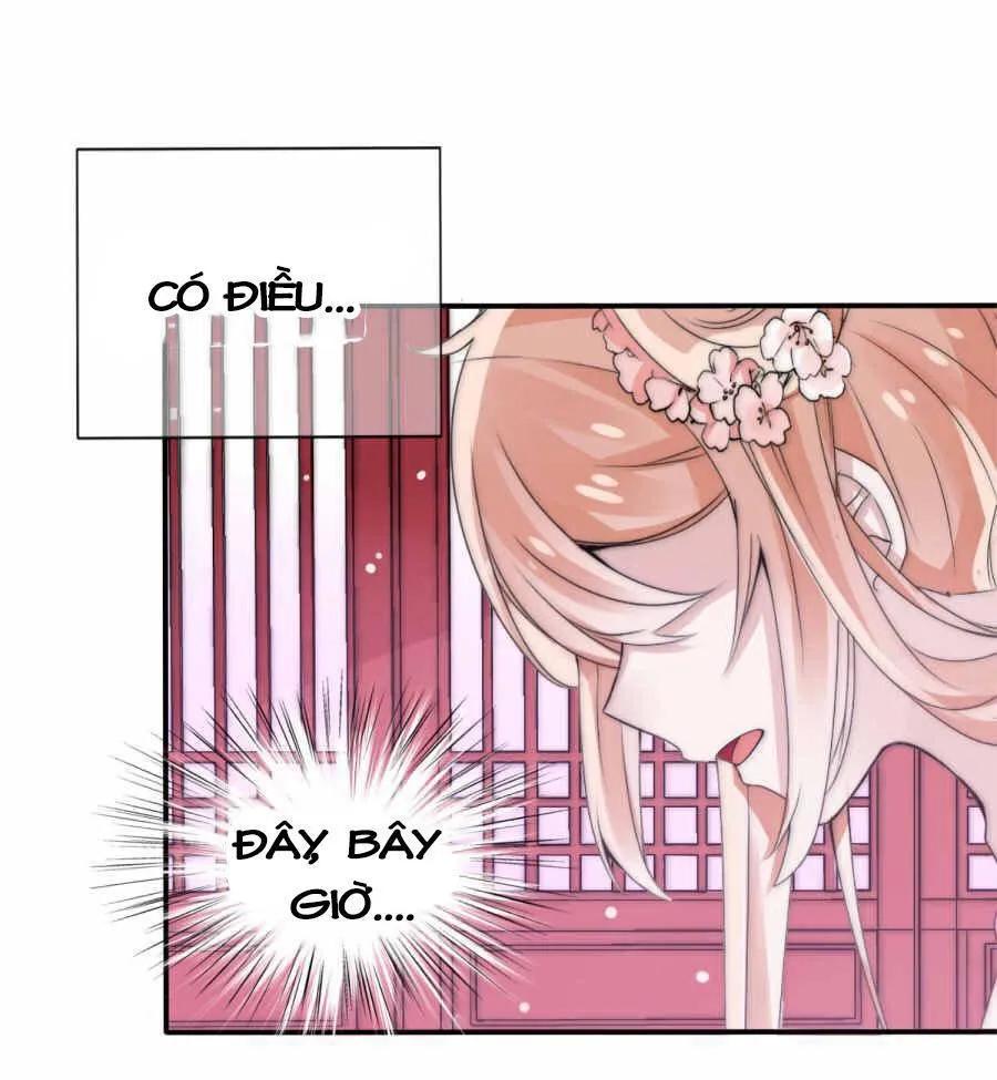 Kế Hoạch Sủng Ái Của Tiểu Công Chúa Chap 2 - Next Chap 3