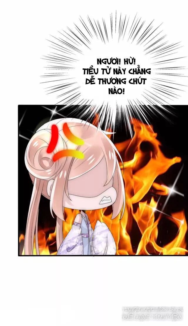 Kế Hoạch Sủng Ái Của Tiểu Công Chúa Chap 231 - Next Chap 232